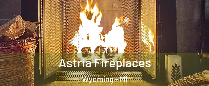  Astria Fireplaces Wyoming - MI