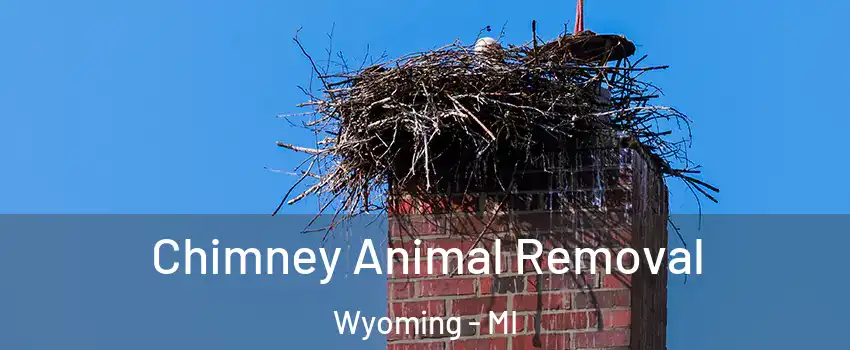Chimney Animal Removal Wyoming - MI