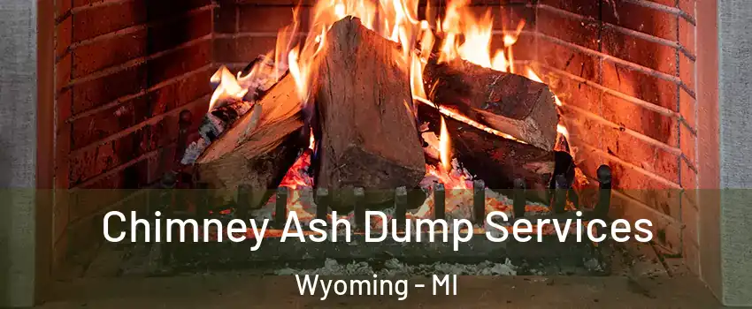  Chimney Ash Dump Services Wyoming - MI