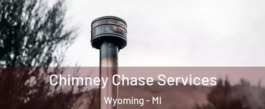  Chimney Chase Services Wyoming - MI