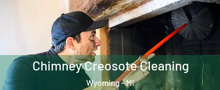  Chimney Creosote Cleaning Wyoming - MI