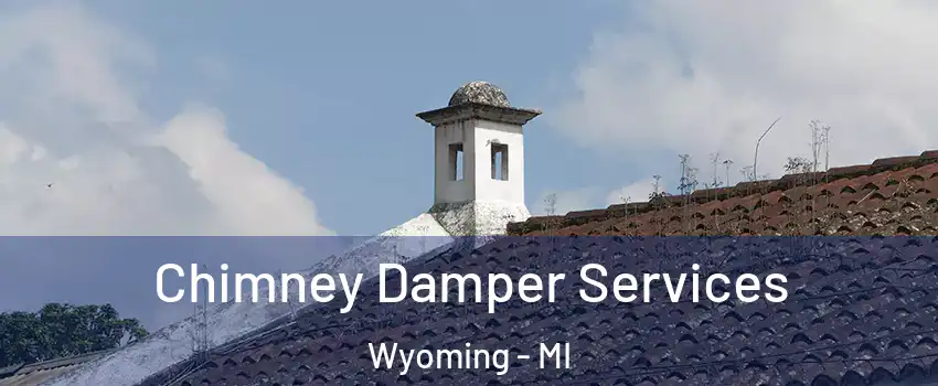  Chimney Damper Services Wyoming - MI