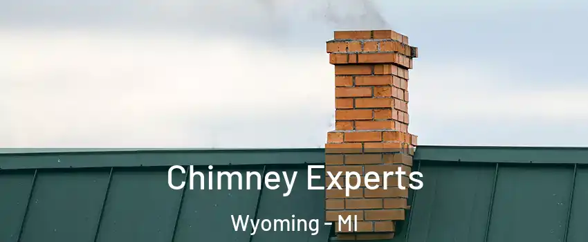 Chimney Experts Wyoming - MI