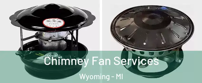  Chimney Fan Services Wyoming - MI