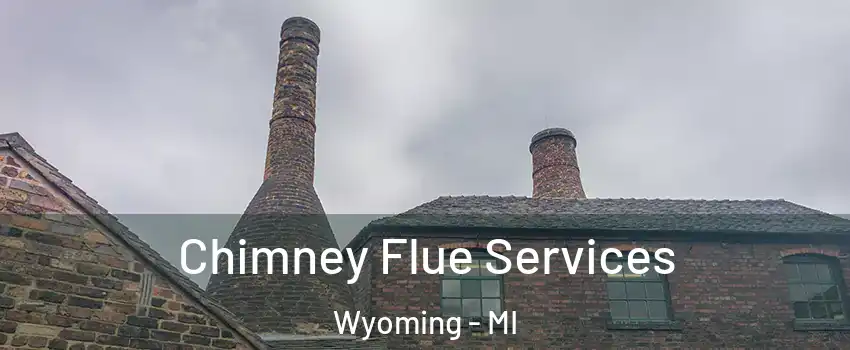  Chimney Flue Services Wyoming - MI