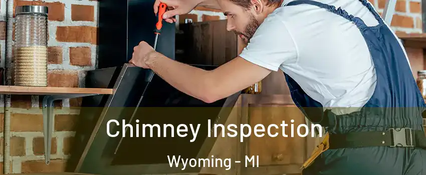  Chimney Inspection Wyoming - MI