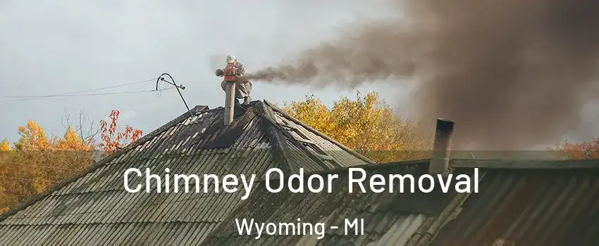  Chimney Odor Removal Wyoming - MI