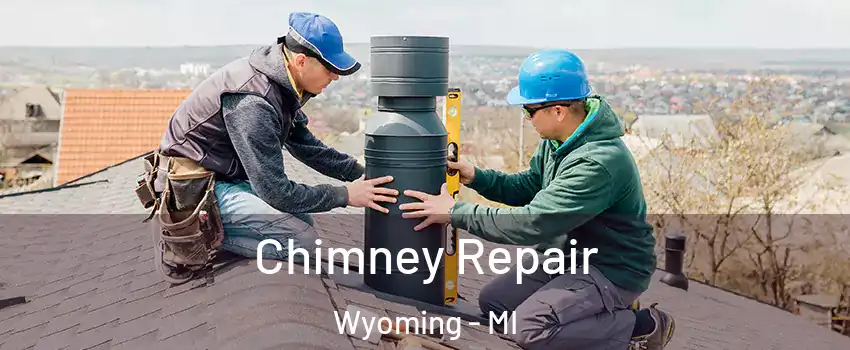  Chimney Repair Wyoming - MI