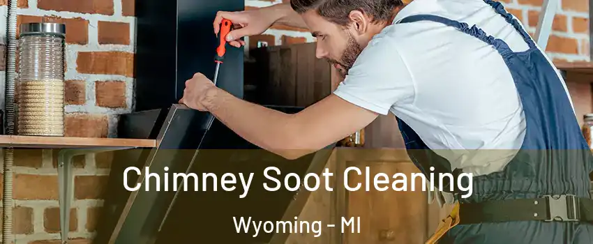  Chimney Soot Cleaning Wyoming - MI