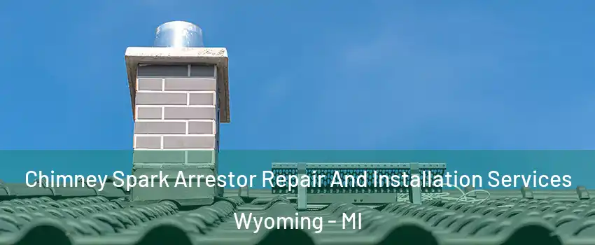  Chimney Spark Arrestor Repair And Installation Services Wyoming - MI