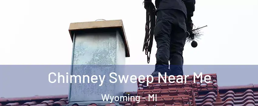  Chimney Sweep Near Me Wyoming - MI