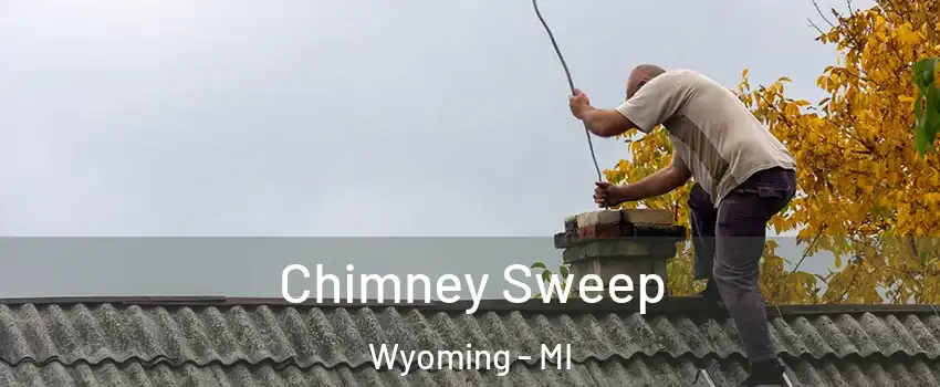  Chimney Sweep Wyoming - MI