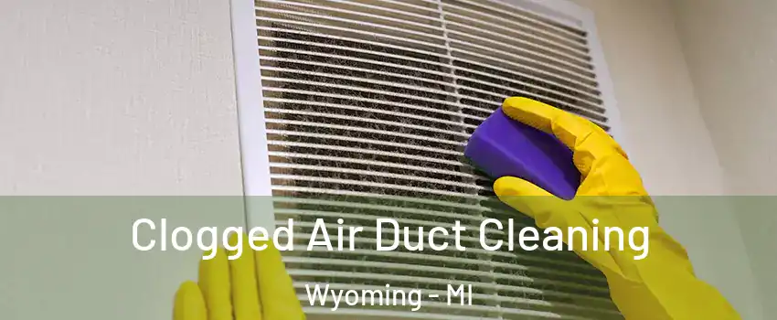  Clogged Air Duct Cleaning Wyoming - MI