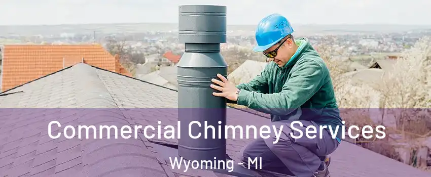  Commercial Chimney Services Wyoming - MI
