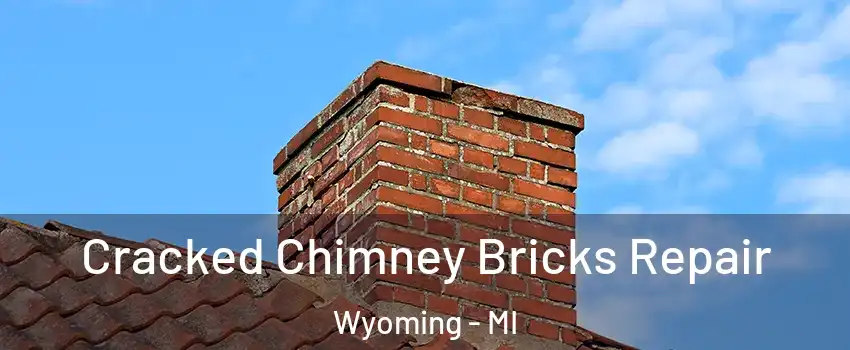  Cracked Chimney Bricks Repair Wyoming - MI