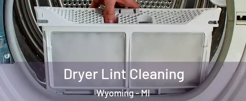  Dryer Lint Cleaning Wyoming - MI