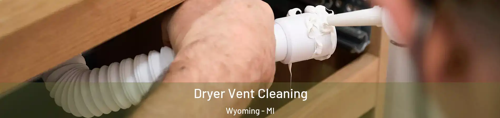  Dryer Vent Cleaning Wyoming - MI