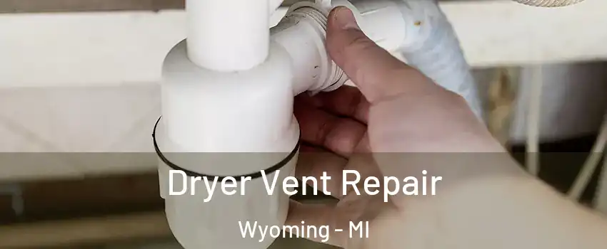  Dryer Vent Repair Wyoming - MI