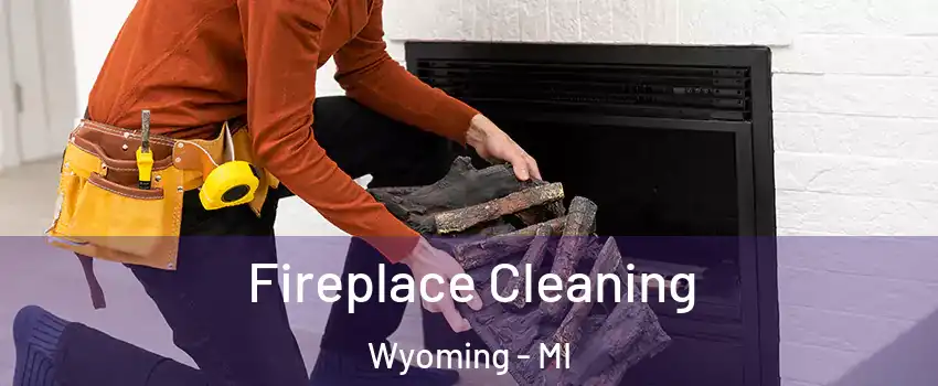  Fireplace Cleaning Wyoming - MI