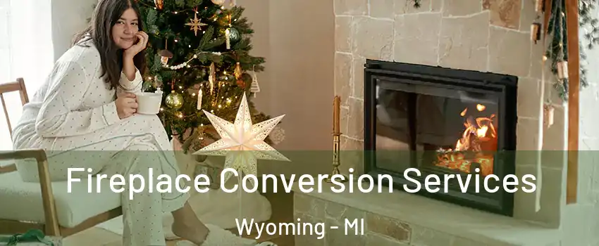  Fireplace Conversion Services Wyoming - MI