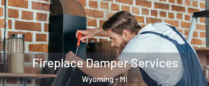  Fireplace Damper Services Wyoming - MI
