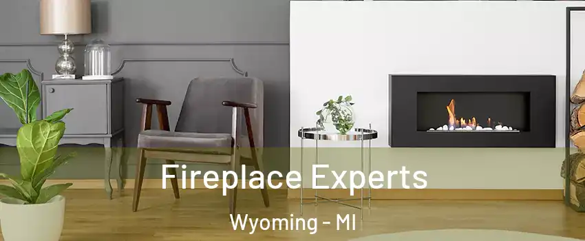  Fireplace Experts Wyoming - MI