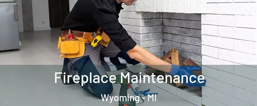  Fireplace Maintenance Wyoming - MI