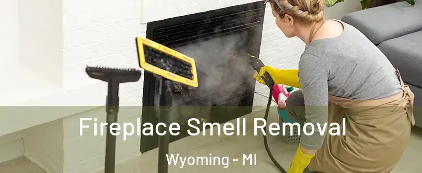 Fireplace Smell Removal Wyoming - MI