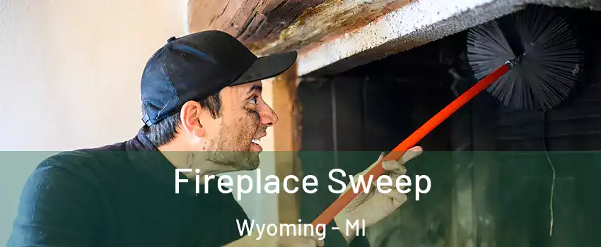  Fireplace Sweep Wyoming - MI