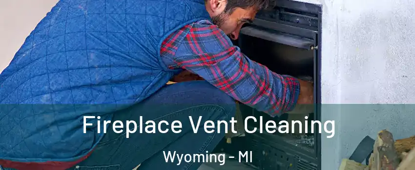  Fireplace Vent Cleaning Wyoming - MI