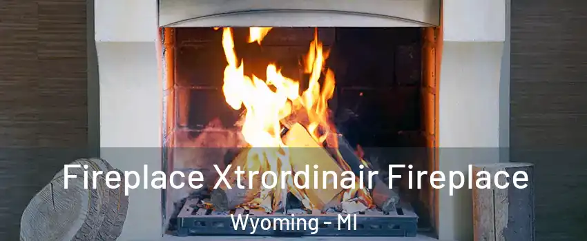  Fireplace Xtrordinair Fireplace Wyoming - MI