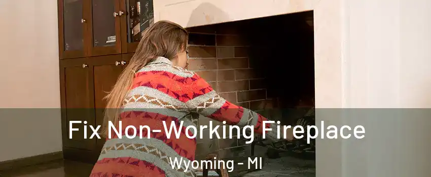  Fix Non-Working Fireplace Wyoming - MI