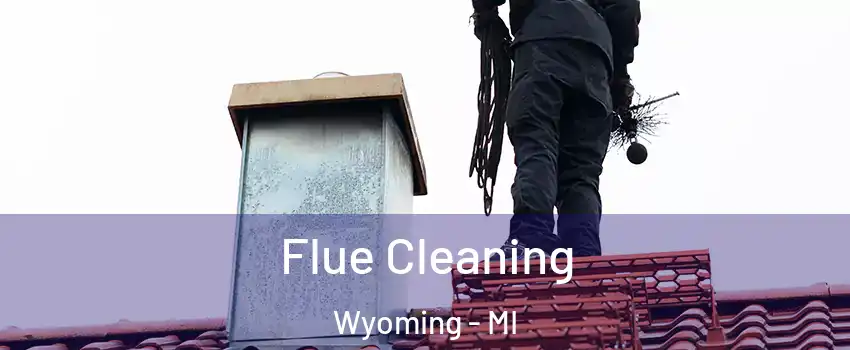  Flue Cleaning Wyoming - MI