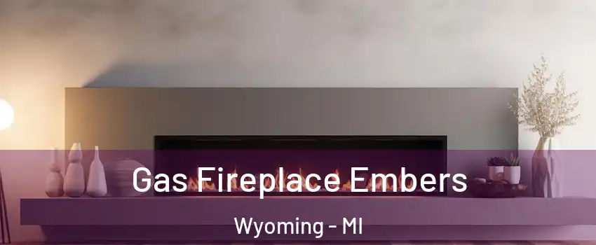  Gas Fireplace Embers Wyoming - MI