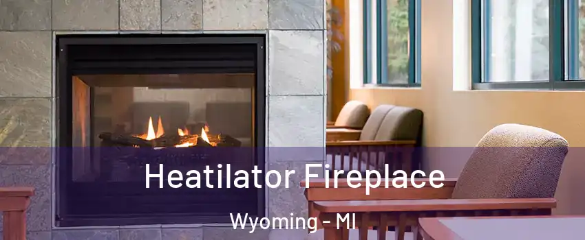  Heatilator Fireplace Wyoming - MI