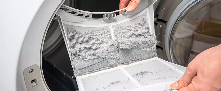 Best Dryer Lint Removal Company in Wyoming, Michigan