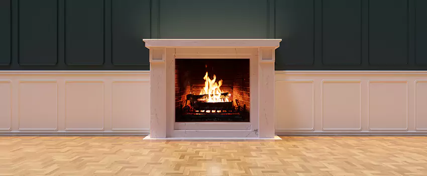 Napoleon Electric Fireplaces Inspection Service in Wyoming, Michigan