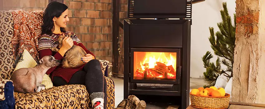 Wood Stove Chimney Cleaning Services in Wyoming, MI