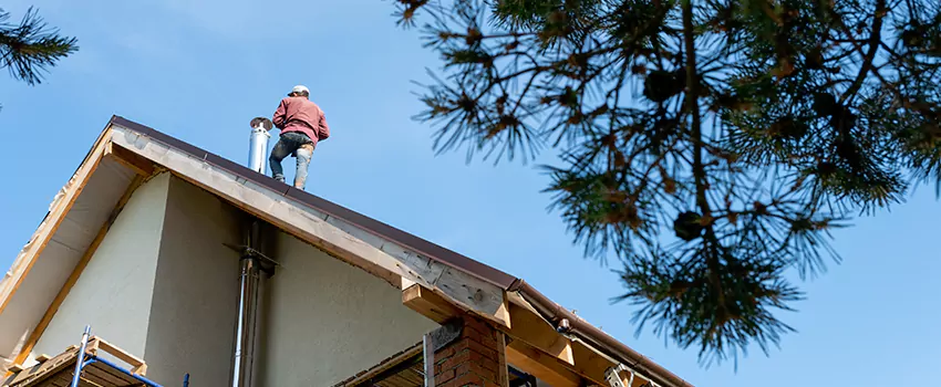 Birds Removal Contractors from Chimney in Wyoming, MI