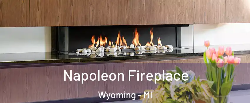  Napoleon Fireplace Wyoming - MI