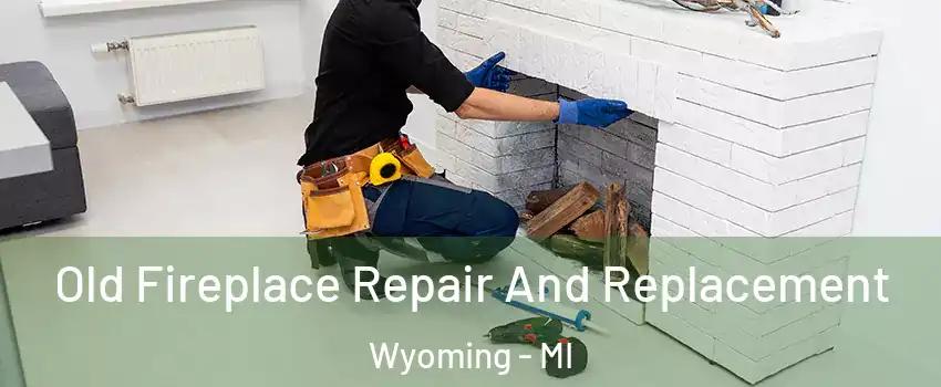 Old Fireplace Repair And Replacement Wyoming - MI