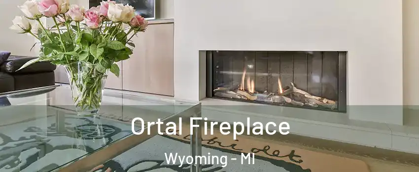Ortal Fireplace Wyoming - MI