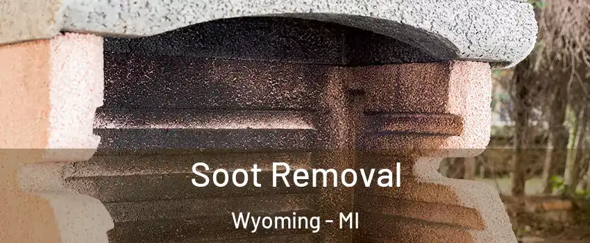  Soot Removal Wyoming - MI