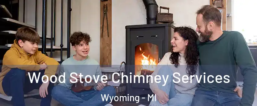  Wood Stove Chimney Services Wyoming - MI