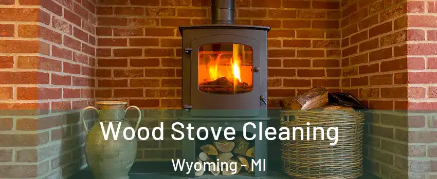  Wood Stove Cleaning Wyoming - MI