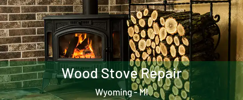  Wood Stove Repair Wyoming - MI